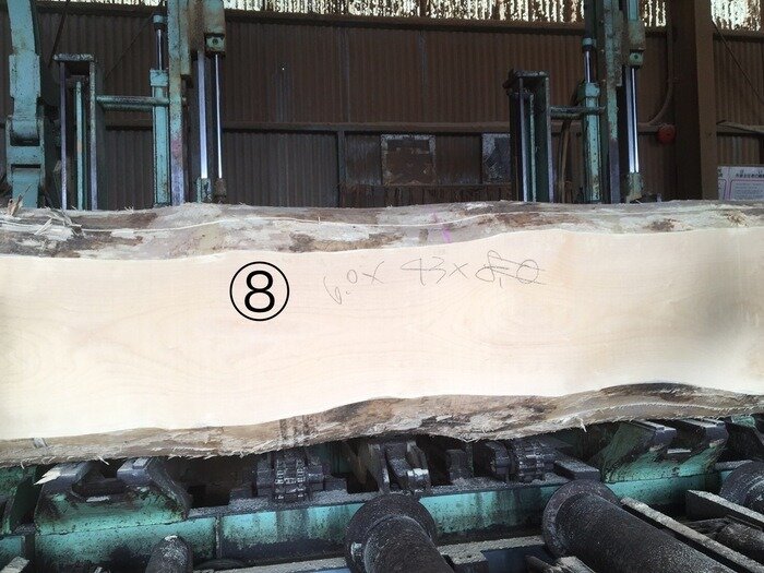 一枚板　銀杏（イチョウ）