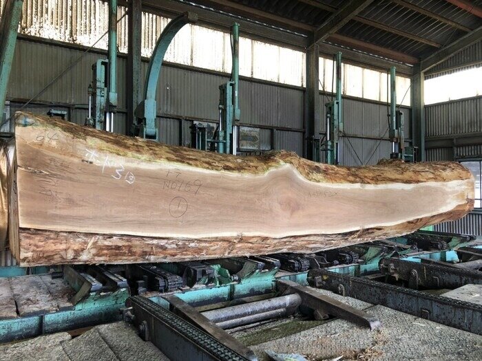 一枚板　楢（ナラ）