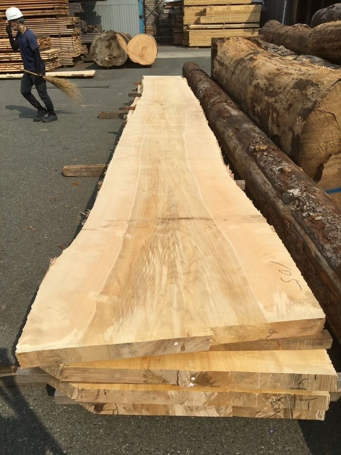 一枚板　銀杏（イチョウ）