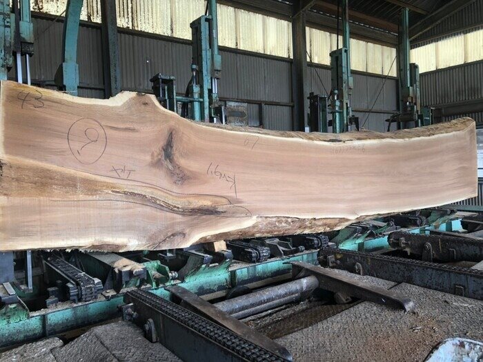 一枚板　楢（ナラ）