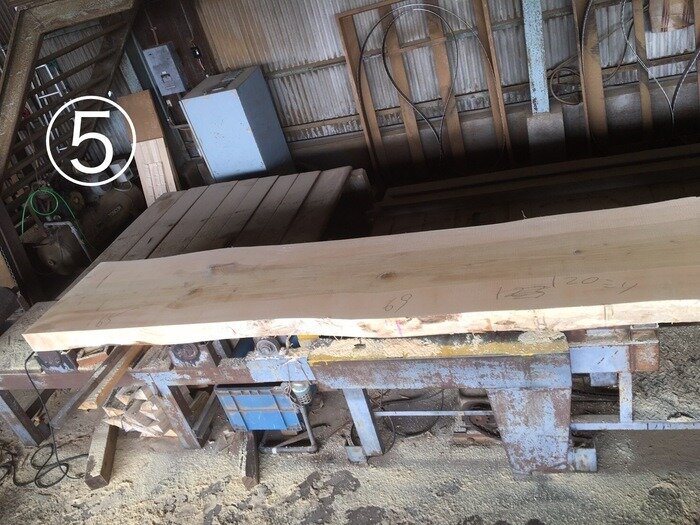 一枚板　銀杏（イチョウ）