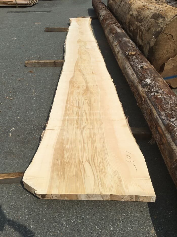 一枚板　銀杏（イチョウ）