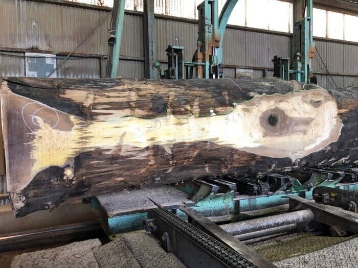 一枚板　クラロウォールナット