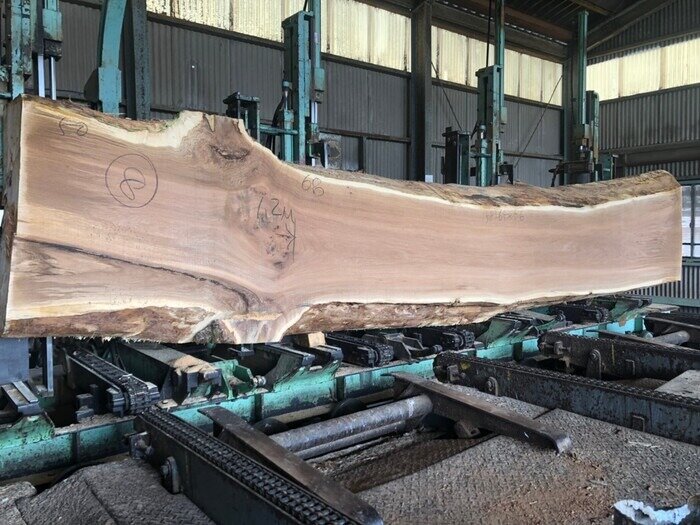 一枚板　楢（ナラ）