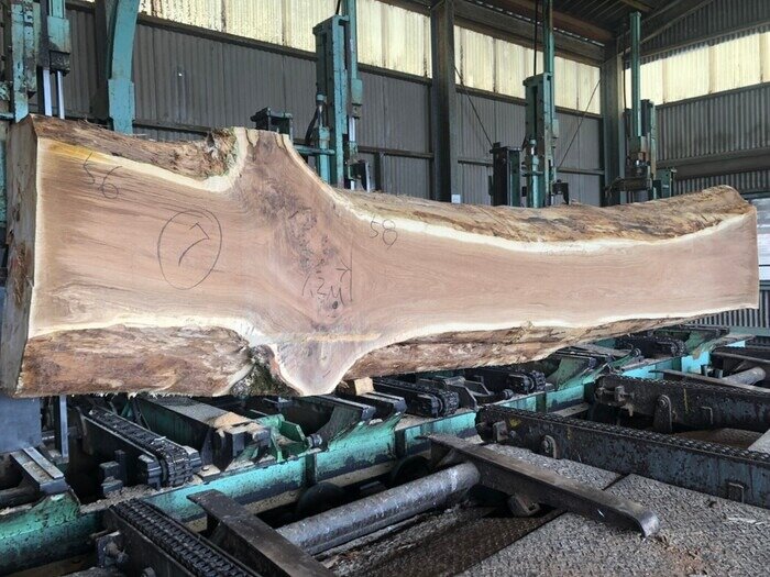 一枚板　楢（ナラ）