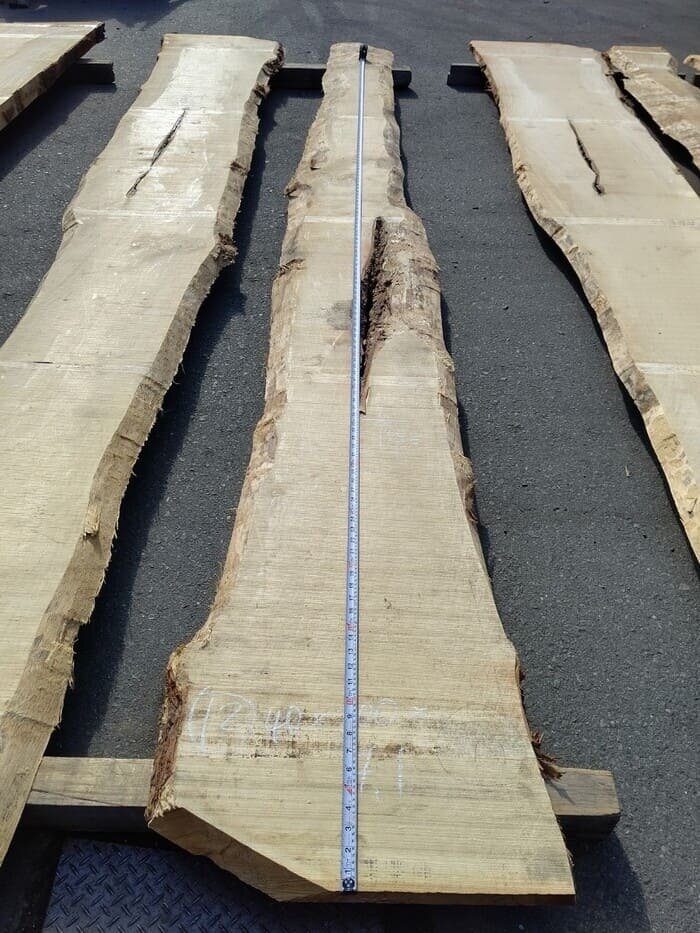 一枚板　銀杏（イチョウ）