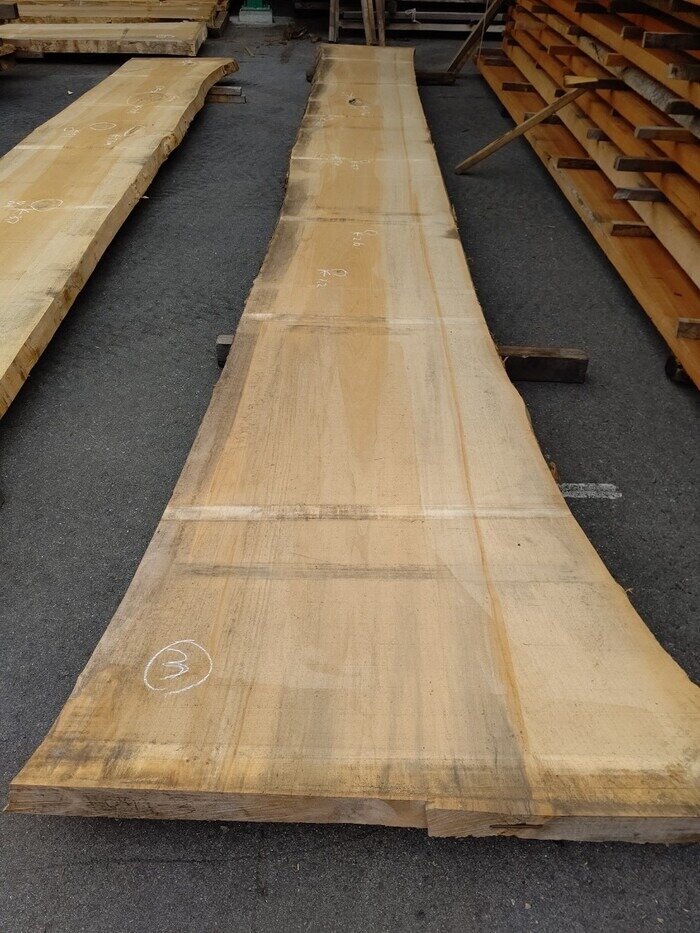 一枚板　銀杏（イチョウ）