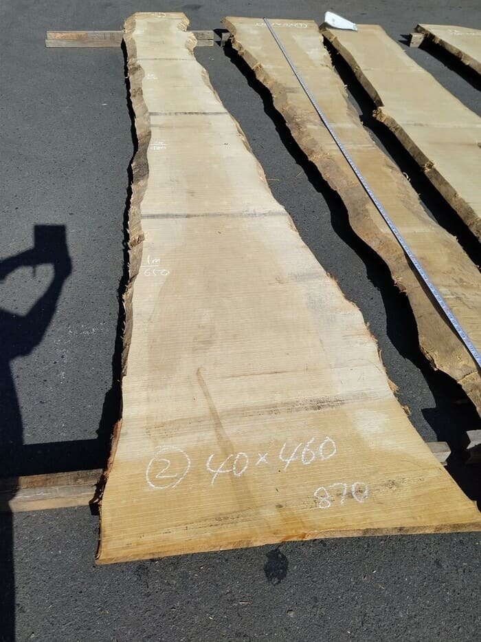 一枚板　銀杏（イチョウ）