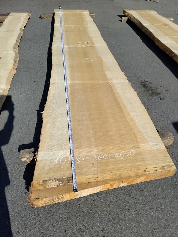 一枚板　銀杏（イチョウ）