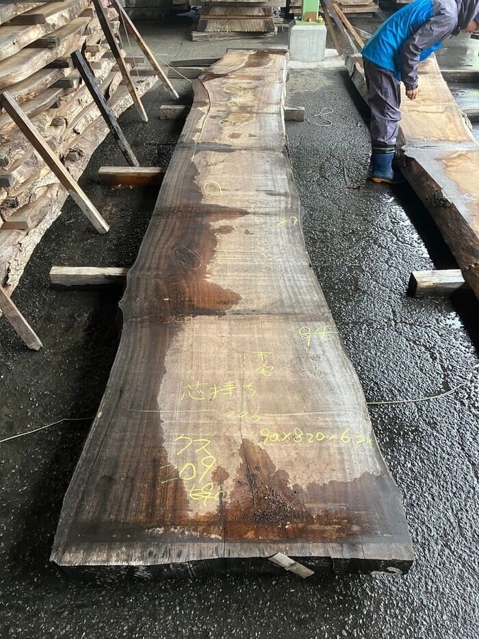 楠（クス）　一枚板