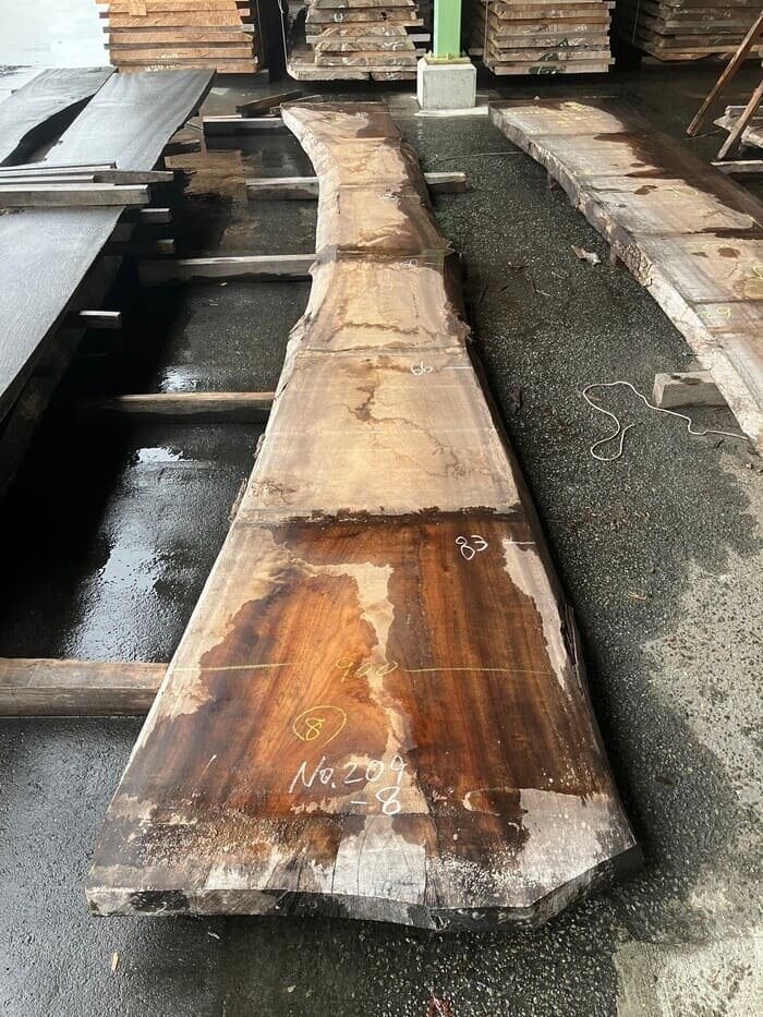 楠（クス）　一枚板