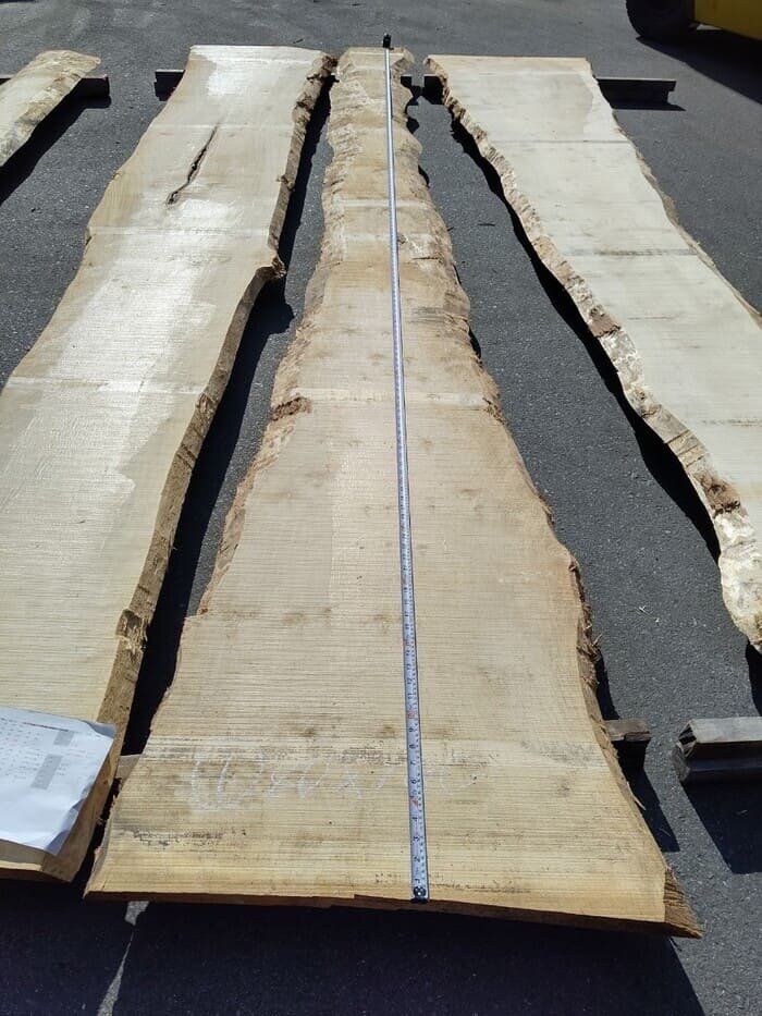 一枚板 銀杏(イチョウ)