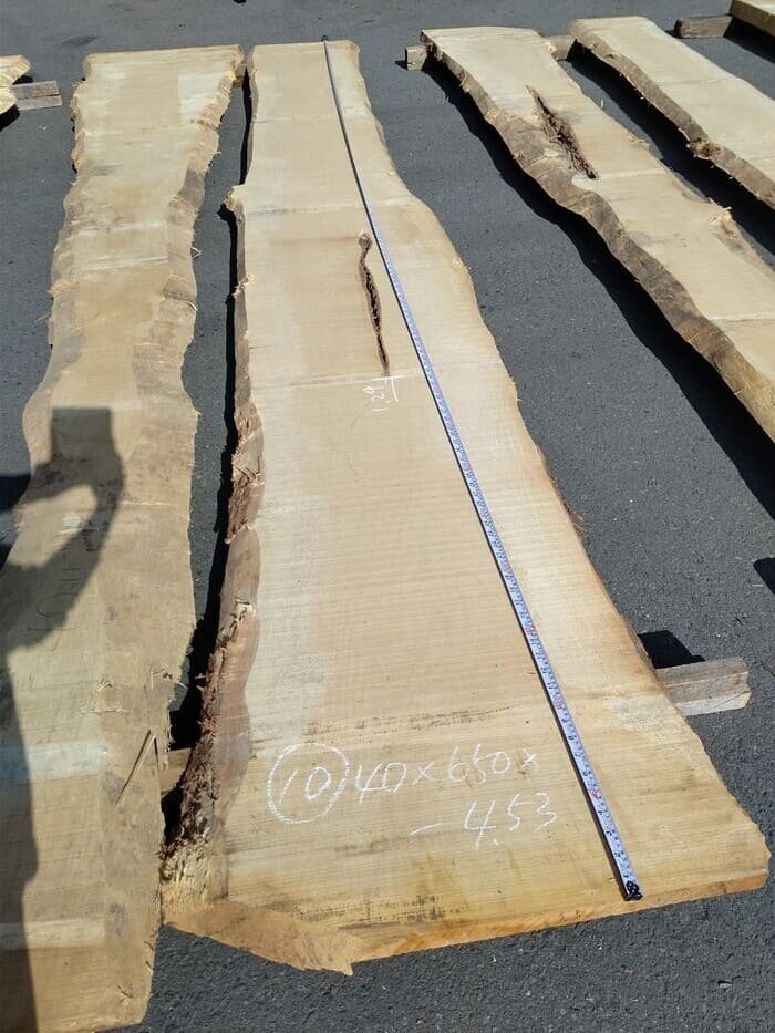 一枚板　銀杏（イチョウ）