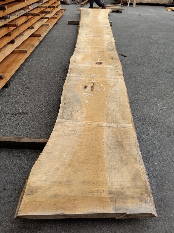 一枚板　銀杏（イチョウ）