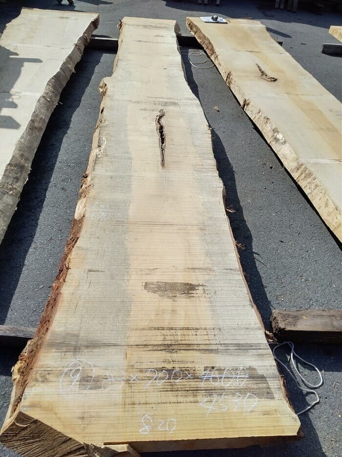 一枚板　銀杏（イチョウ）