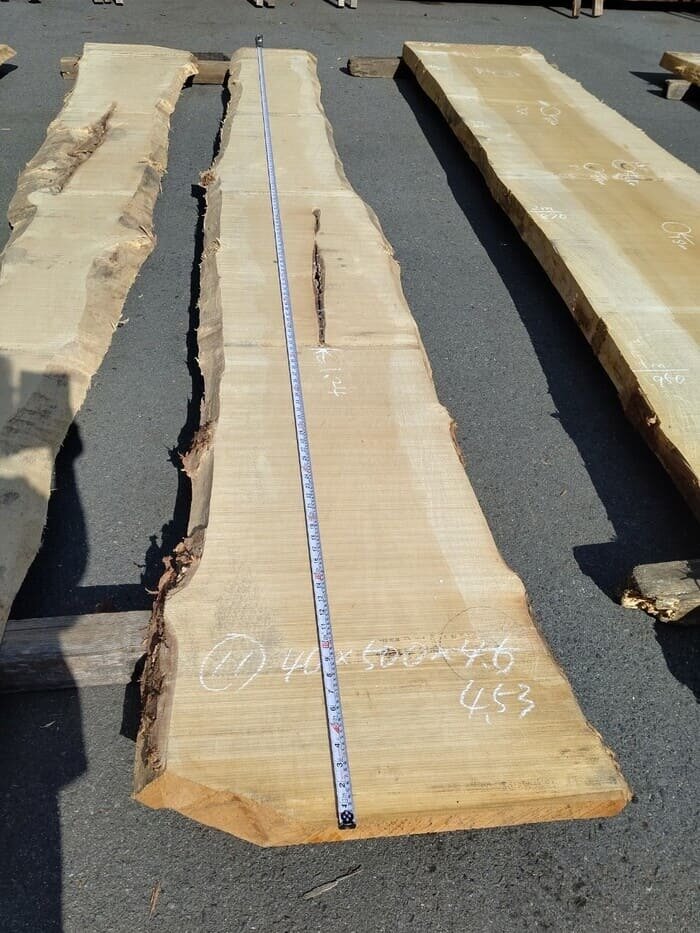 一枚板　銀杏（イチョウ）