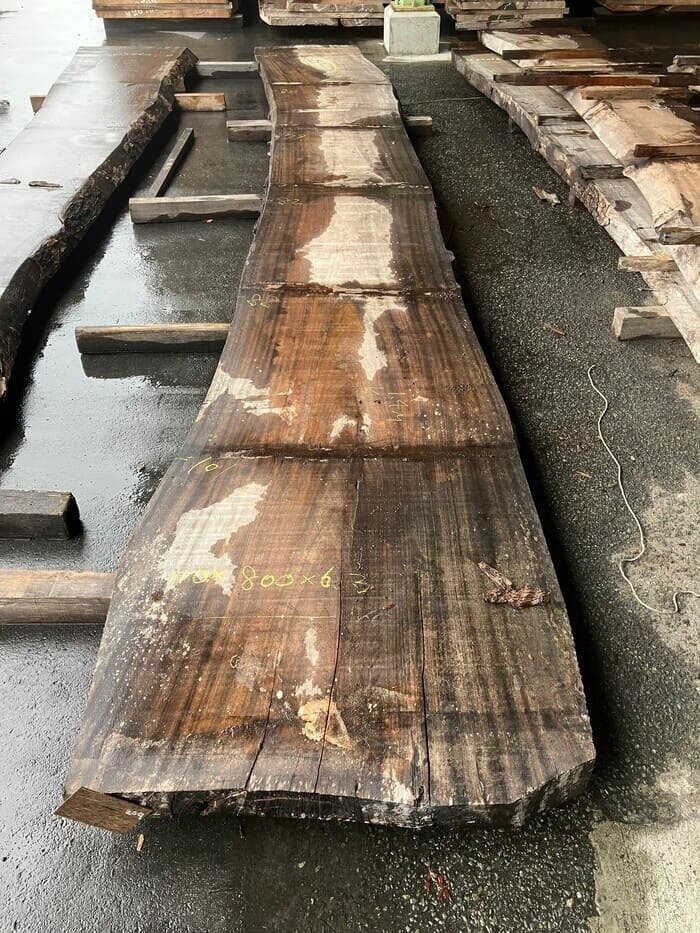 楠（クス）　一枚板