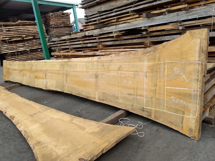 一枚板　銀杏（イチョウ）