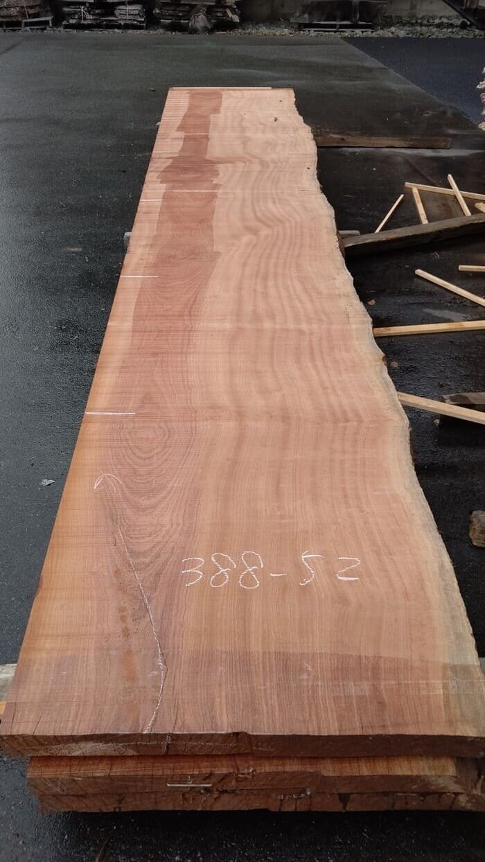 一枚板　サペリ