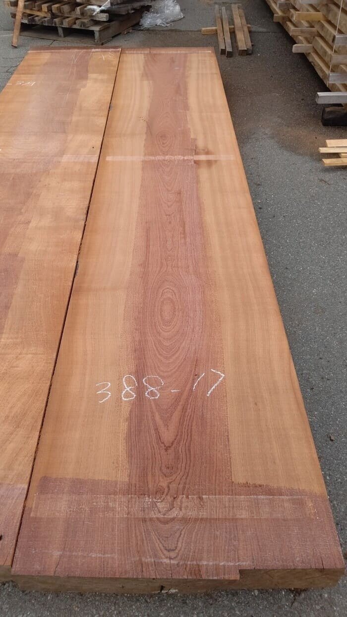 一枚板　サペリ