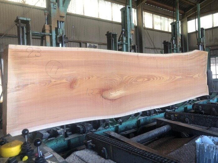 欅(ケヤキ) 一枚板