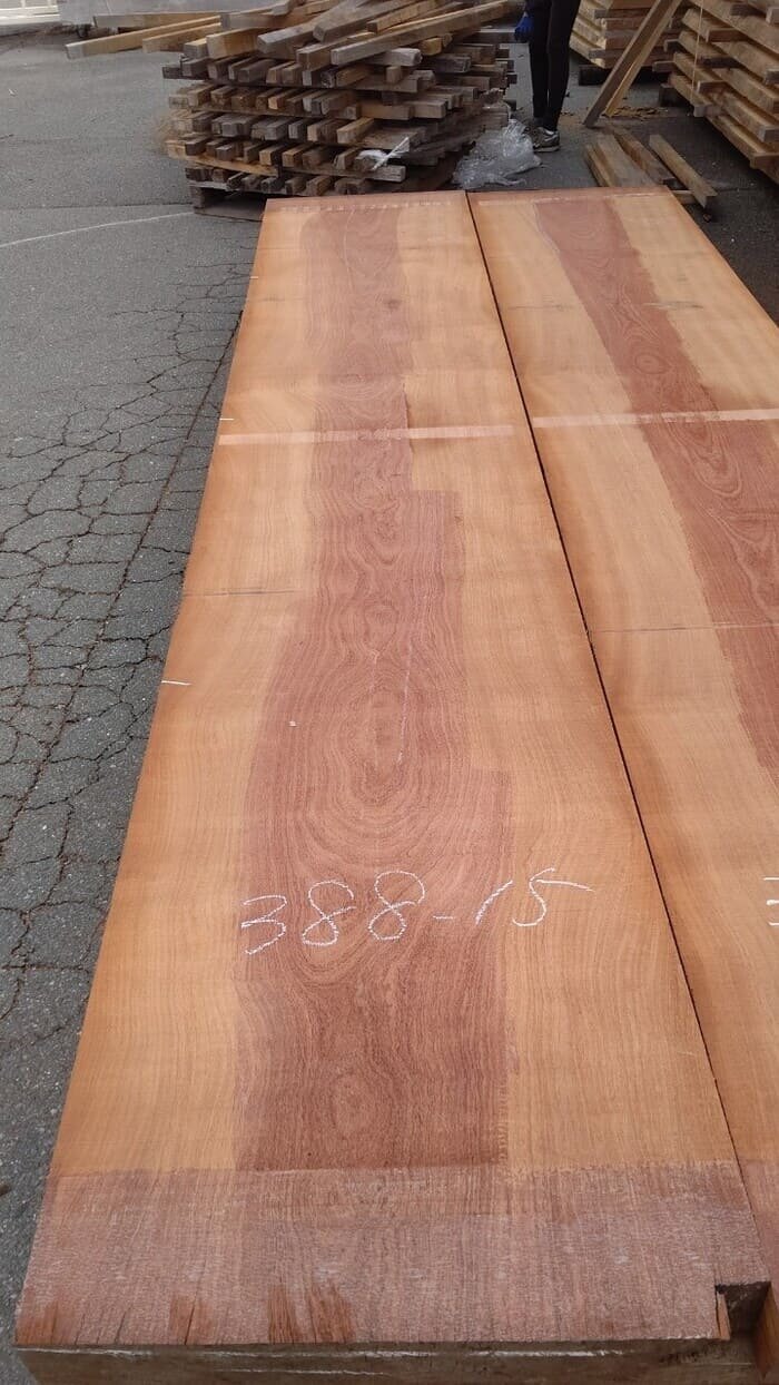 一枚板　サペリ