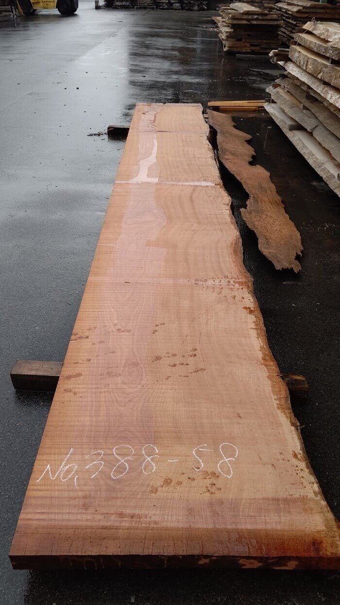 一枚板　サペリ