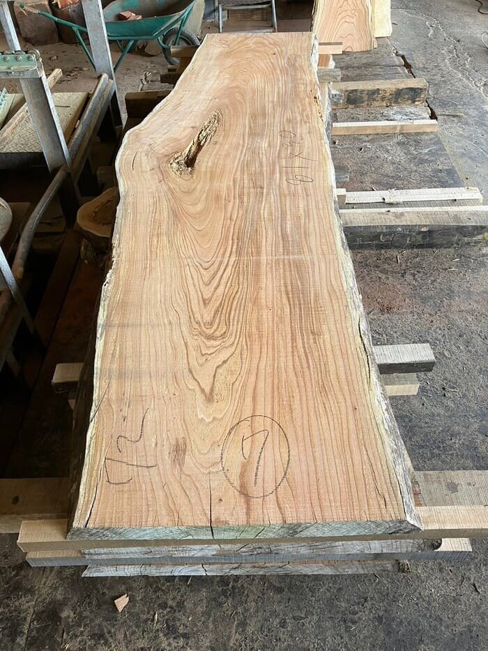 栴檀（センダン）　一枚板