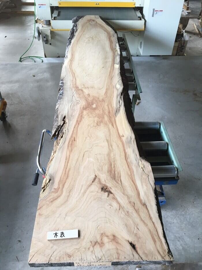 楠（クス）　一枚板