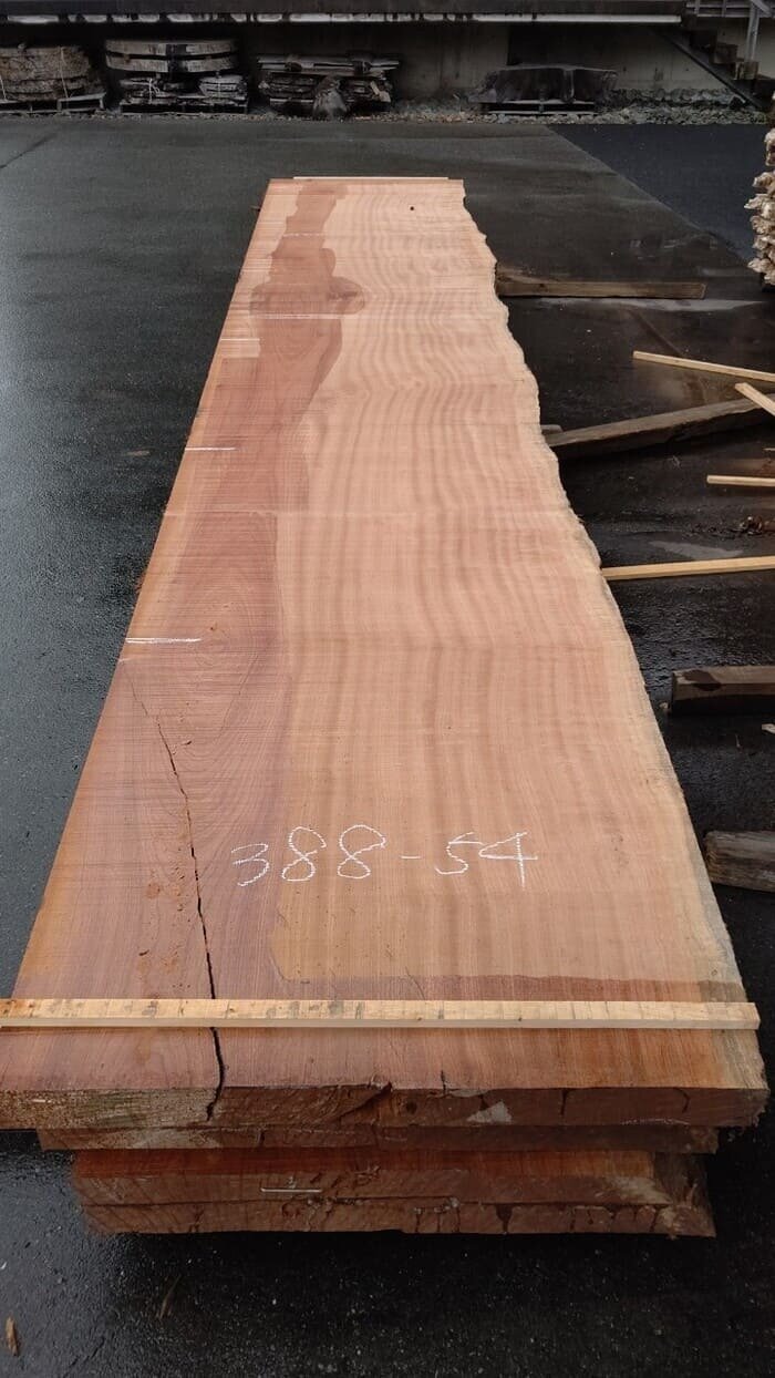 一枚板　サペリ