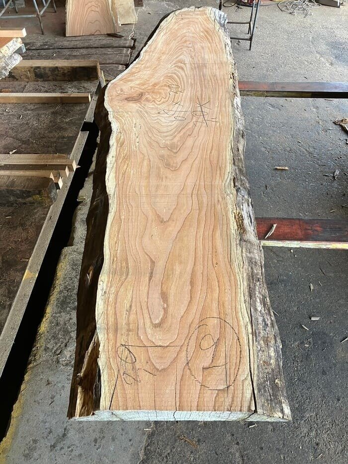 栴檀（センダン）　一枚板