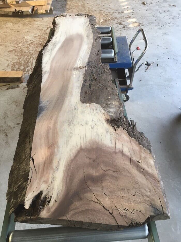 モンキーポッド　一枚板