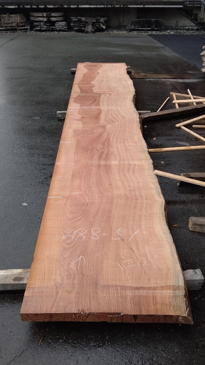 一枚板　サペリ