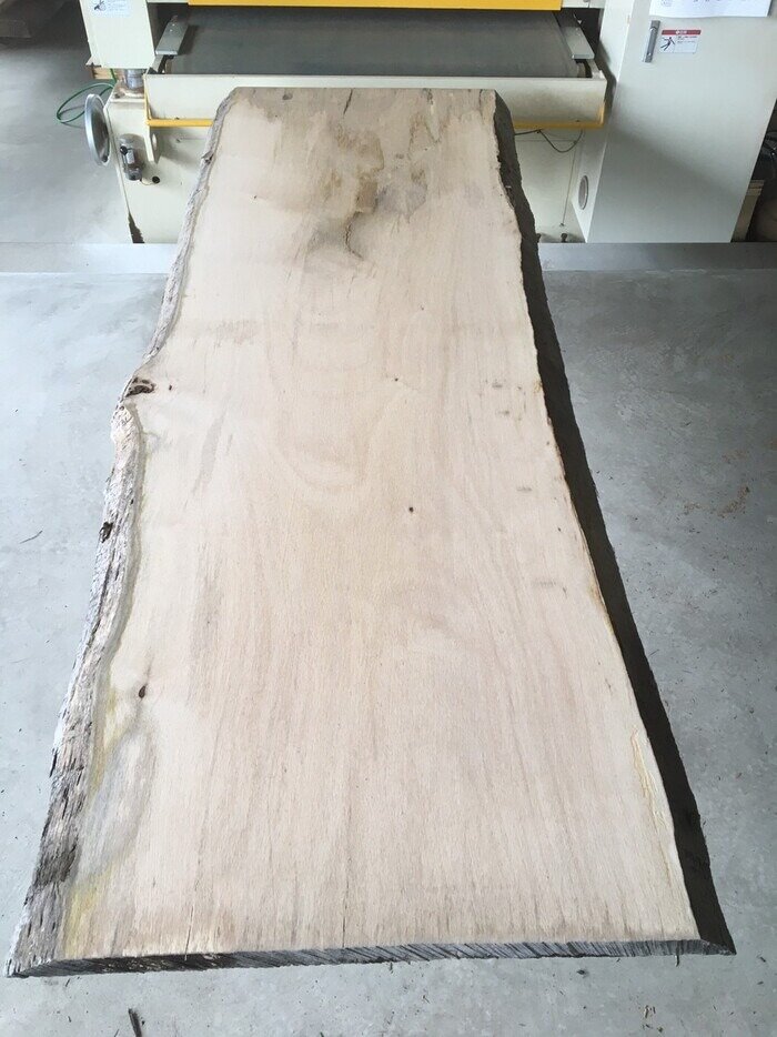 一枚板　マンゴ