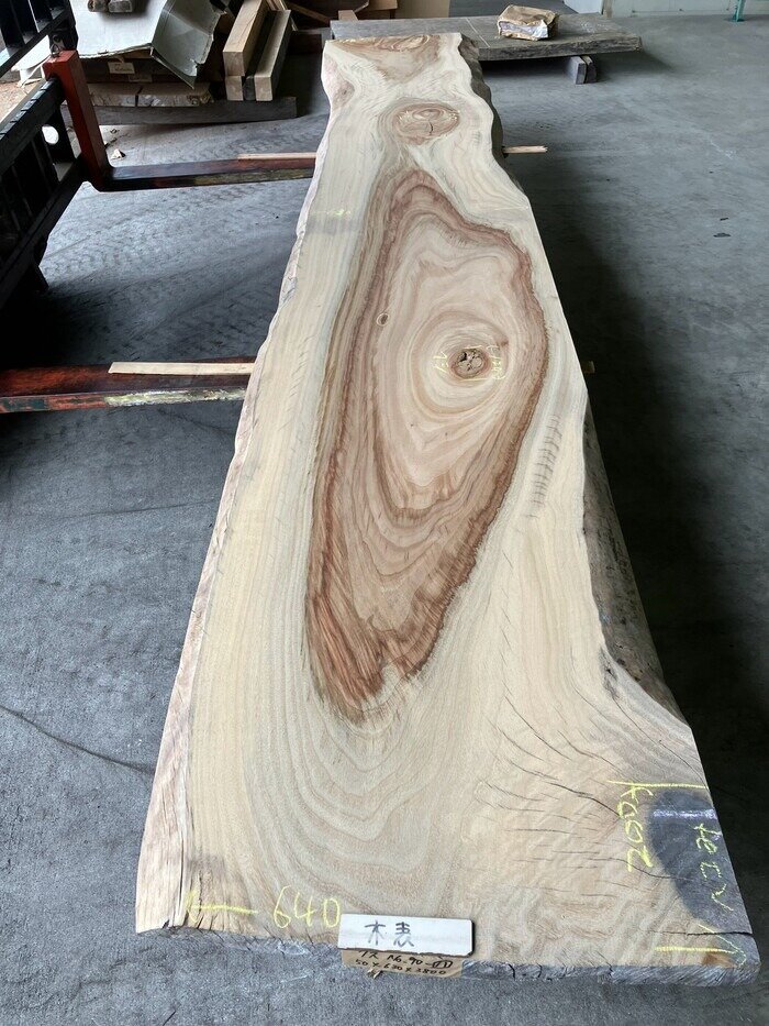 楠（クス）　天板