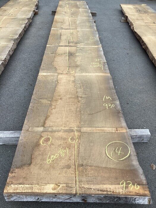 スプルース　一枚板天板