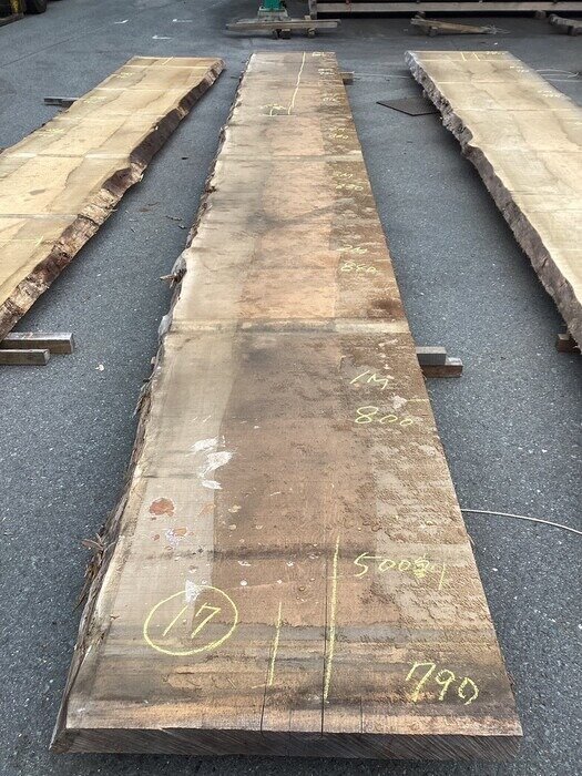 スプルース　一枚板天板