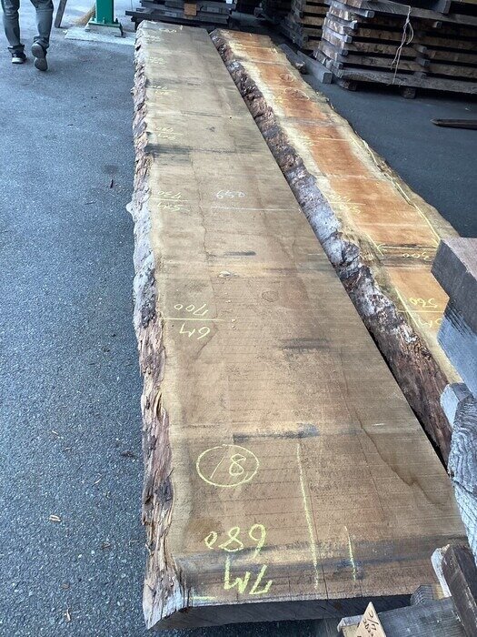 スプルース　一枚板天板