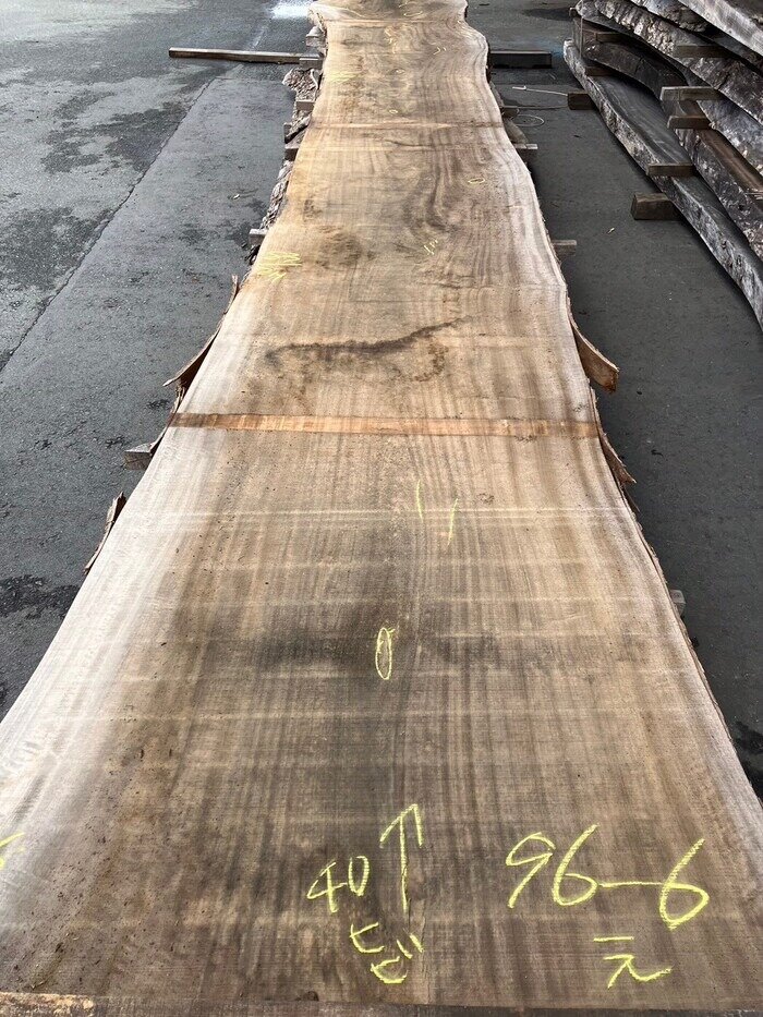 楠（クス）　一枚板天板