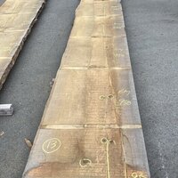 スプルース　NO.262-13