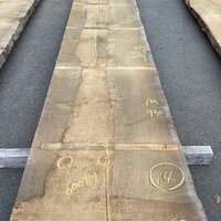 スプルース　NO.262-14
