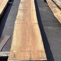 ボセ　NO.292-24