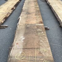 スプルース　NO.262-17