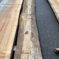 ボセ　NO.292-21