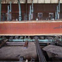 メルバウ　NO.937-4