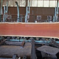メルバウ　NO.937-11