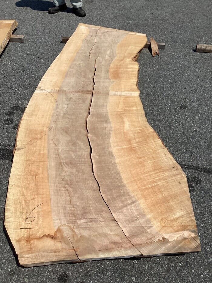 楓（カエデ）　一枚板