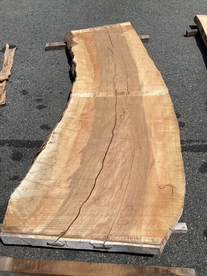 楓（カエデ）　一枚板