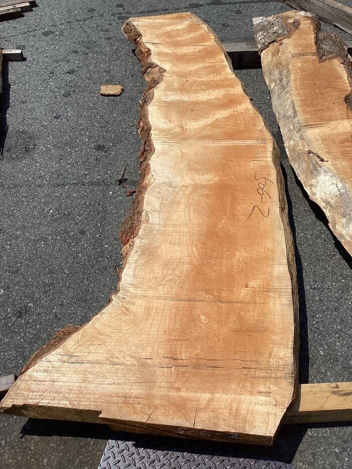 楓（カエデ）　一枚板