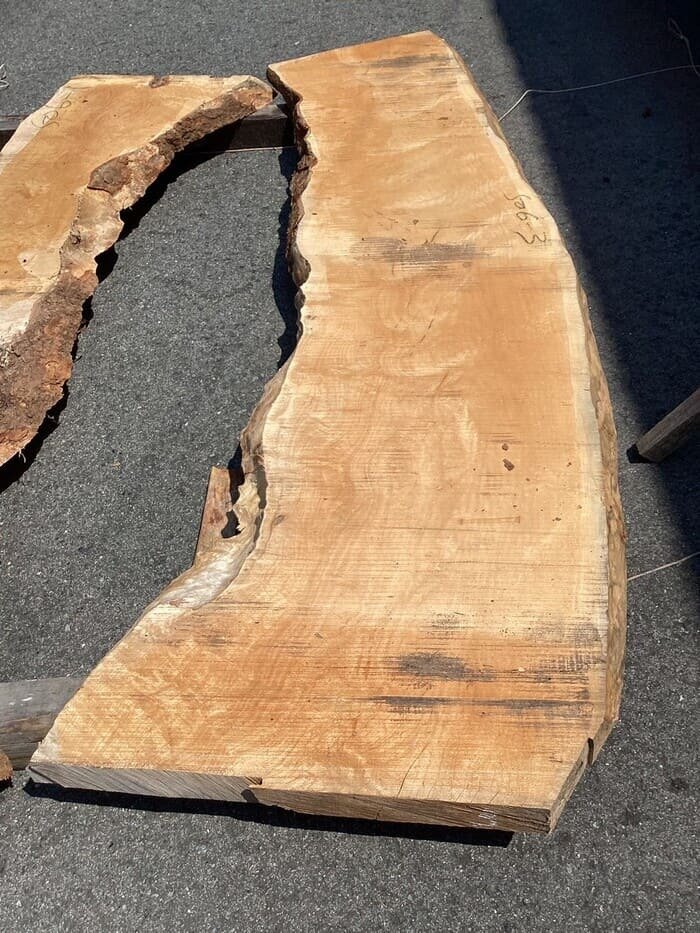 楓（カエデ）　一枚板